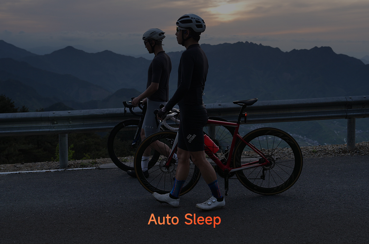 VS800S smart battery management