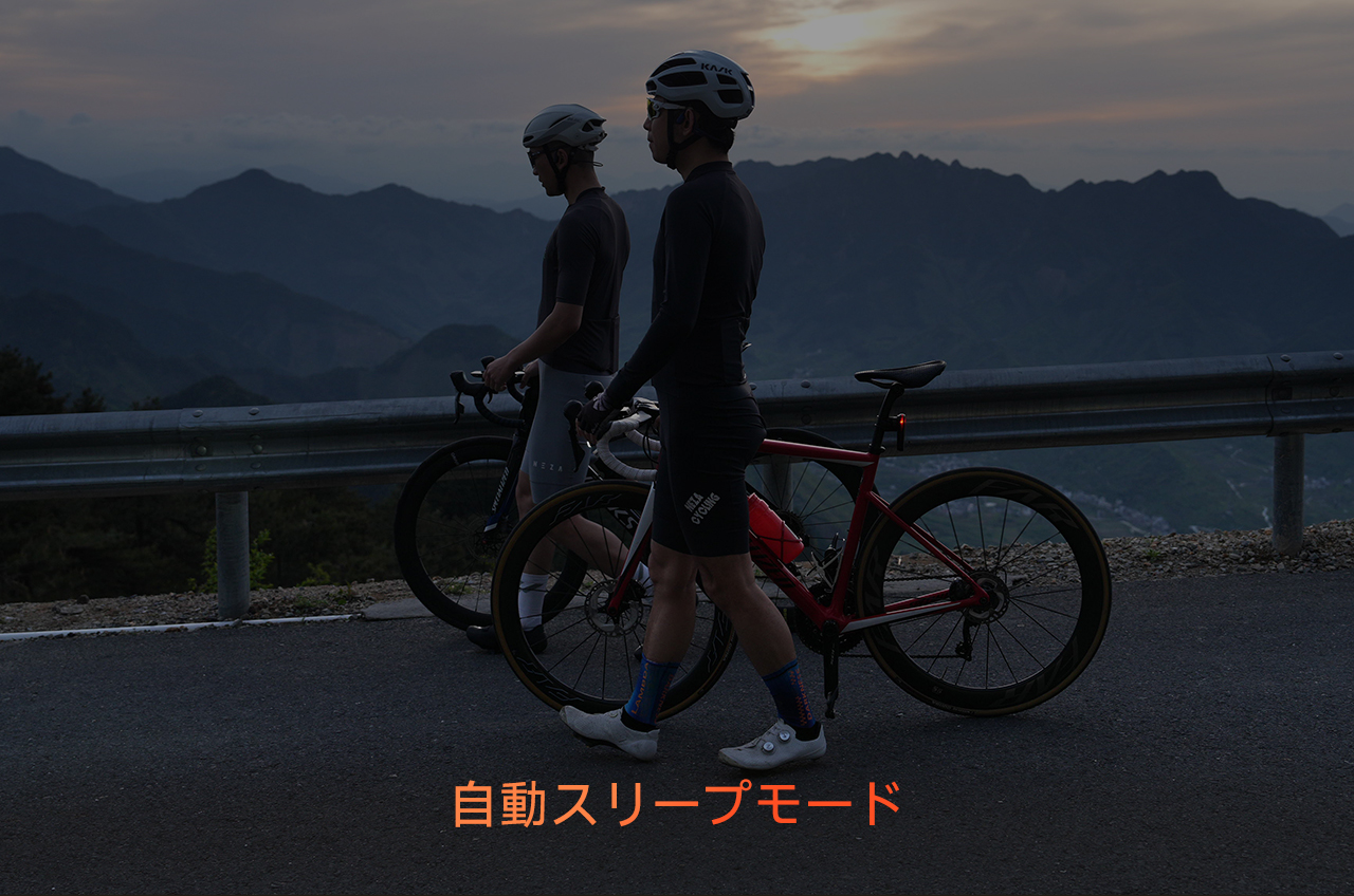 VS800Sスマートバッテリー管理